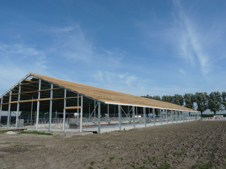 abc defrg thysu ooip jkifbtg fff